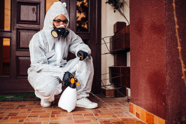 Reliable Cockroach Control contractor in Joplin, MO by Nex Pest Control